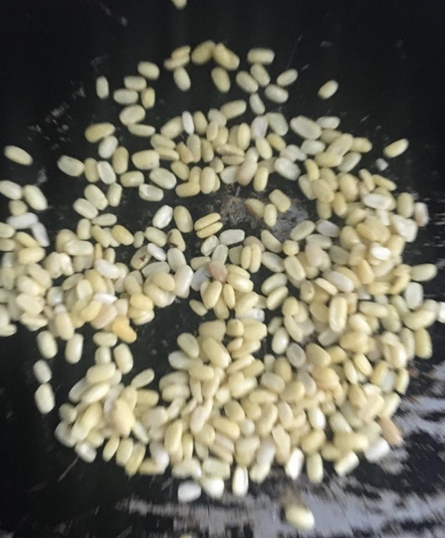 Toasted Mung Beans
