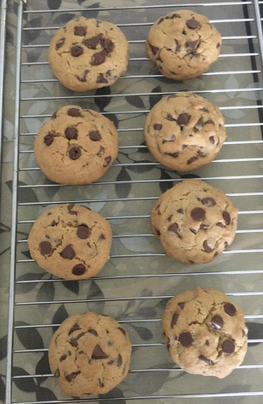 Chocolate Chip Cookies Ready